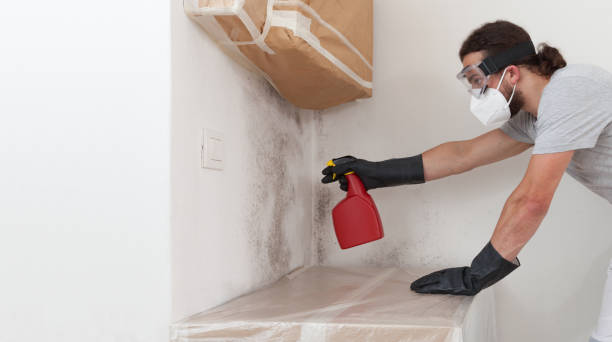 Professional Basement Mold Removal technician working in Allenwood, PA