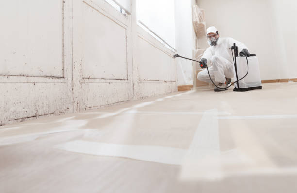 24/7 Emergency Basement Mold Removal experts in Allenwood, PA
